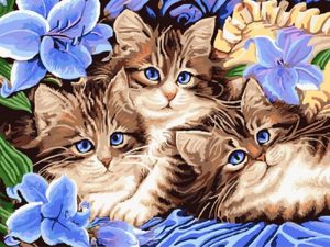 Floral Cats Paint By Numbers