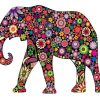 Floral Elephant Paint By Numbers