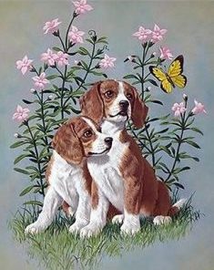 Flower Dogs Paint By Numbers