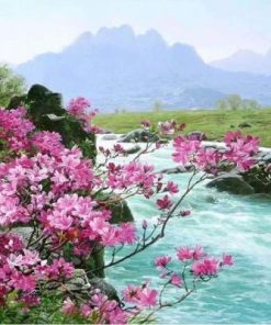 Flower River Paint By Numbers