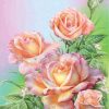 Flowered Roses Paint By Numbers