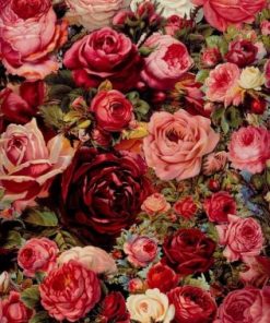 Flowering Roses Paint By Numbers