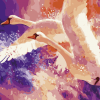 Flying Swans Paint By Numbers