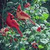 Forest Birds Paint By Numbers