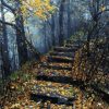 Forest Stairs Paint By Numbers