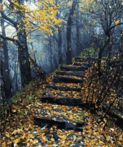 Forest Stairs Paint By Numbers