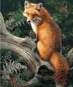 Fox Animals Paint By Numbers