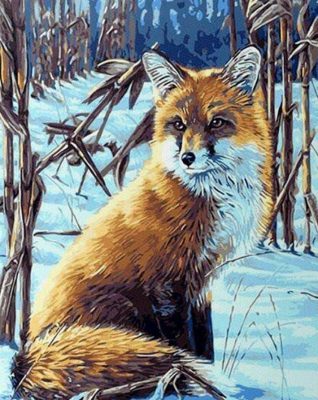 Fox in Snow Paint By Numbers