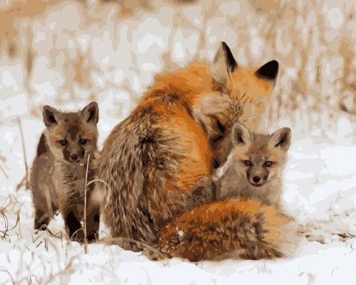 Foxes in Snow Paint By Numbers