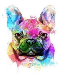 French Bulldog Paint By Numbers