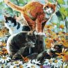 Friends of Cats Paint By Numbers