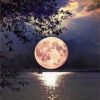 Full Moon Paint By Numbers