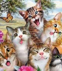 Funny Cats Paint By Numbers