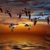 Geese Flying Paint By Numbers