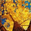 Ginkgo Landscape Paint By Numbers