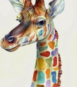 Giraffe Animals Paint By Numbers