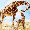 Giraffe Mom Paint By Numbers