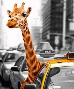 Giraffe in Taxi Paint By Numbers