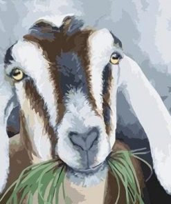 Goats With Grass Paint By Numbers