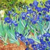 Gogh Irises Paint By Numbers