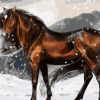 Horse Art Paint By Numbers