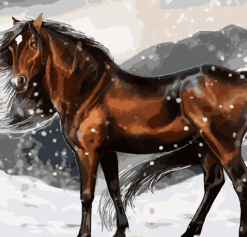 Horse Art Paint By Numbers