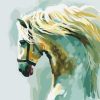 Horse Artwork Paint By Numbers