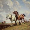 Horse Ploughing Paint By Numbers