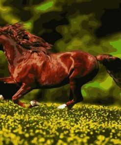 Horse Running Paint By Numbers