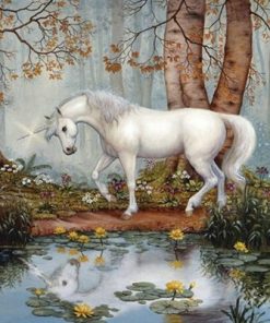 Horse Unicorn Paint By Numbers