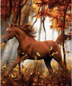 Horse in Autumn Paint By Numbers