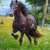 Horse in Forest Paint By Numbers