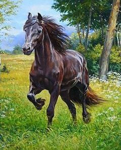 Horse in Forest Paint By Numbers