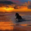 Horse in Sea Paint By Numbers