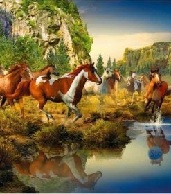 Horses By River Paint By Numbers