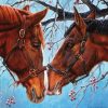 Horses Couple Paint By Numbers