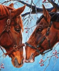 Horses Couple Paint By Numbers