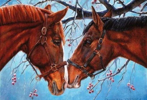 Horses Couple Paint By Numbers