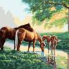 Horses Family Paint By Numbers