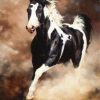 Horses Paint By Numbers