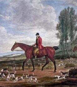 Horses and Hunting Paint By Numbers