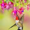 Hummingbird Flowers Paint By Numbers