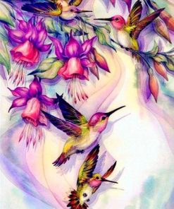 Hummingbirds Birds Paint By Numbers