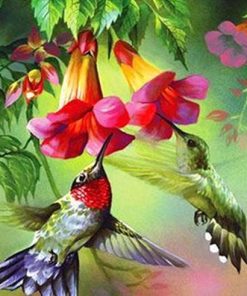 Hummingbirds paint by numbers