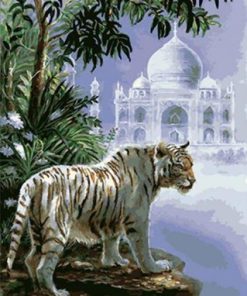 Indian Tiger Paint By Numbers