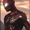 Iron Spiderman Paint By Numbers