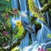 Jungle Birds Paint By Numbers