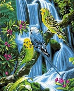 Jungle Birds Paint By Numbers