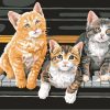 Kittens On Piano Paint By Numbers