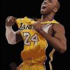 Kobe Basketballer Paint By Numbers